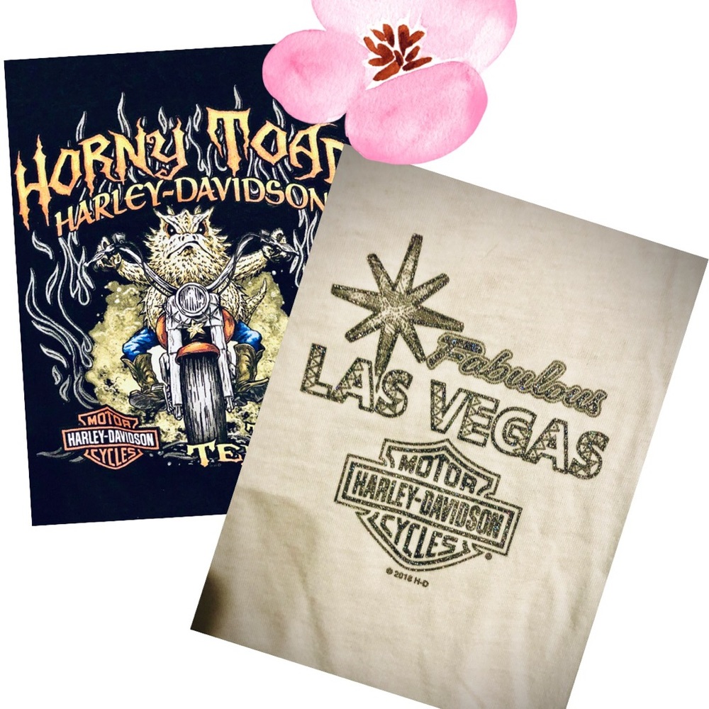 Two Harley Davidson tee shirts, EUC, worn 3 times!